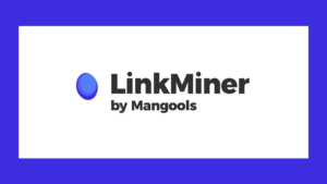 LinkMiner Test und Erfahrungen